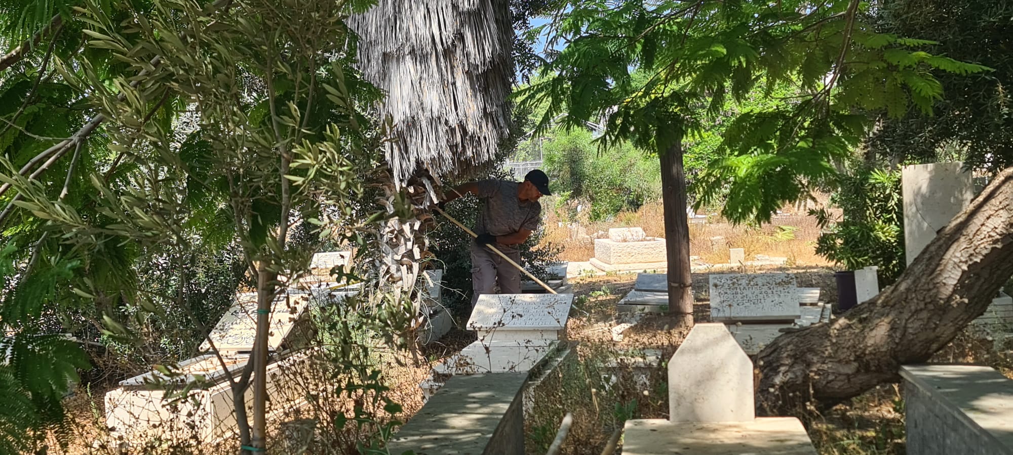 WhatsApp Image 2022-07-02 at 10.57.14 AM.jpeg